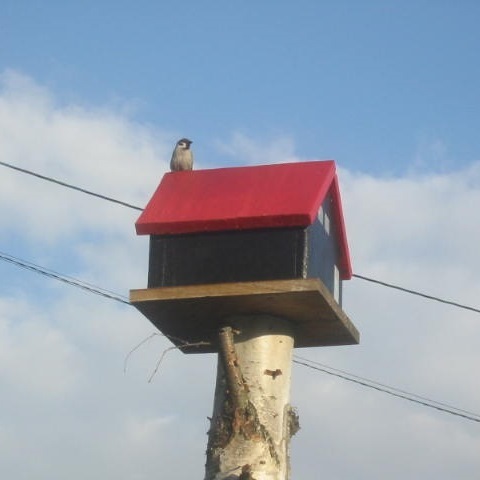 旅人宿 給食室 格安予約 宿泊プラン料金比較 トラベルコ 旅人宿 給食室 格安予約 宿泊プラン料金比較 トラベルコ