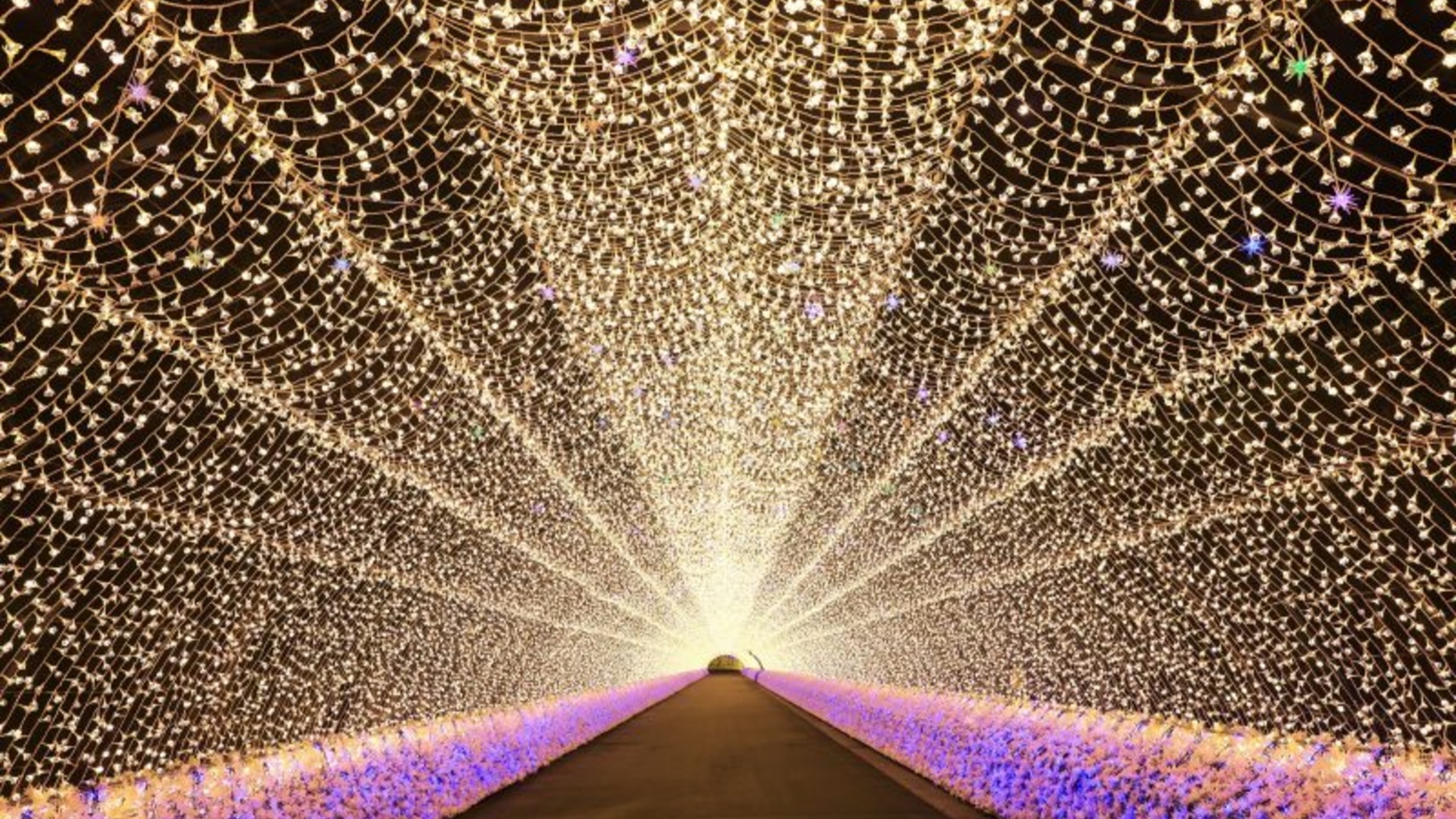 なばなの里イルミネーション