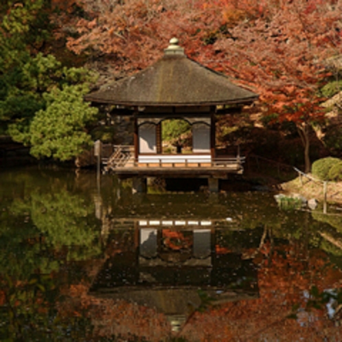 和歌山城公園内　紅葉谷庭園