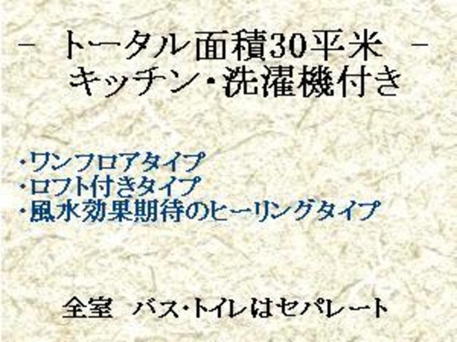 －トータル30平米タイプ　客室　-