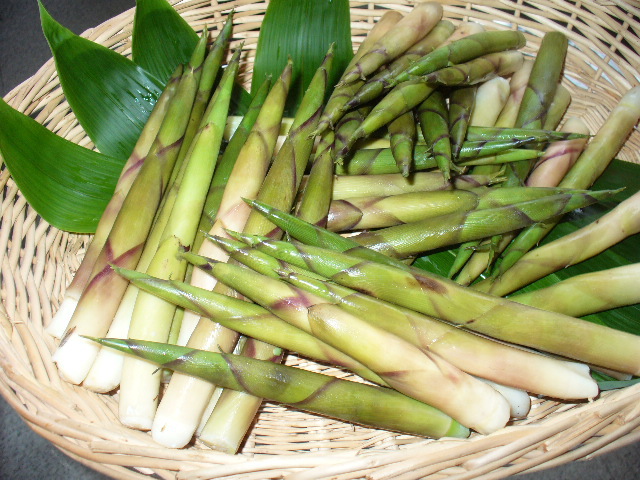 和洋室　朝食付   ２１時までにチェツクイン０ｋ!　{　禁煙ルーム　}