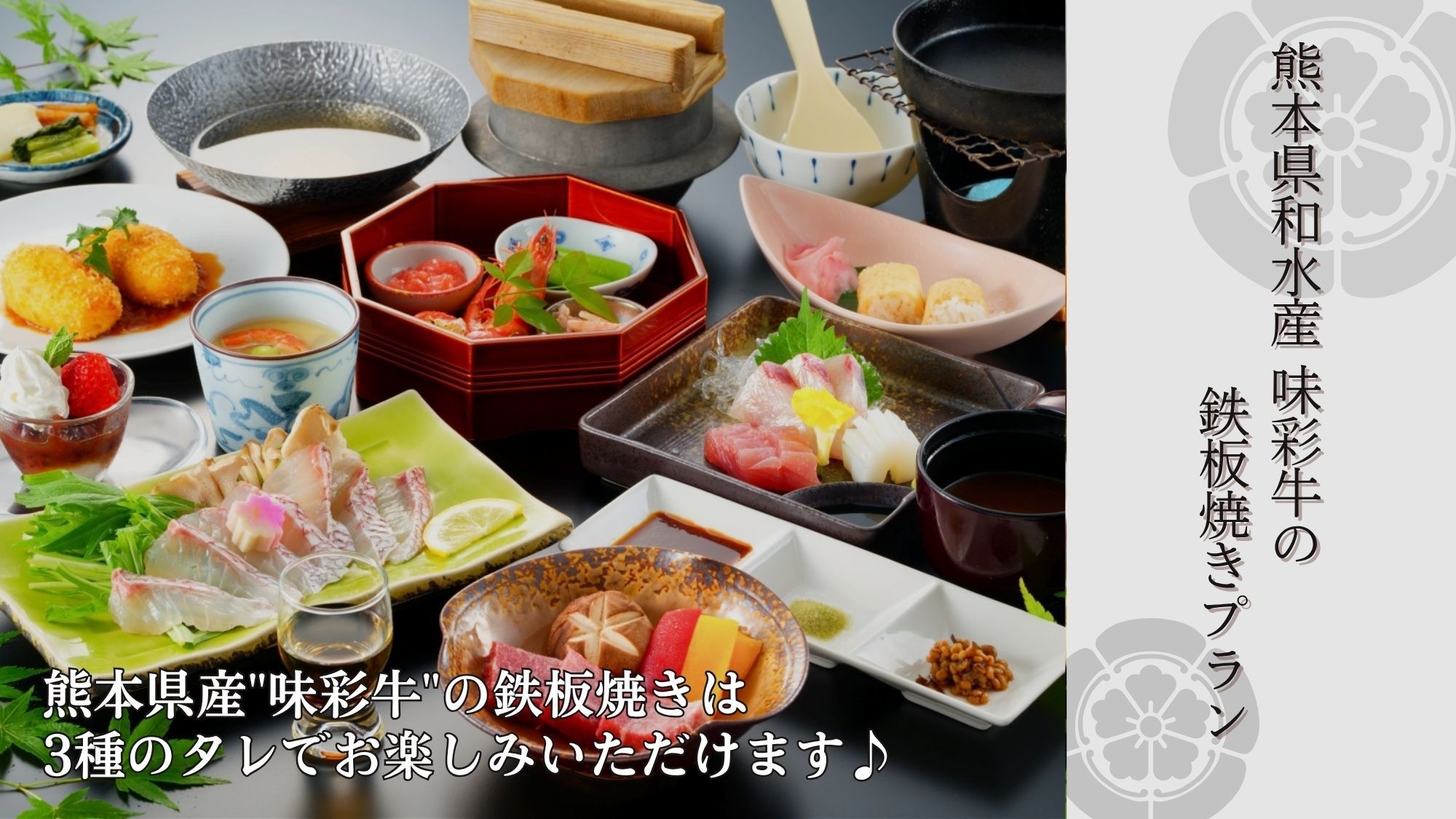 【熊本の味】熊本県産”味彩牛”の鉄板焼きと源泉かけ流しの温泉を楽しむ♪♪