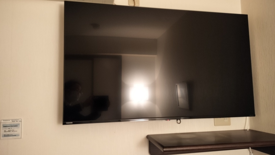 ソファ付きシングルルームテレビ