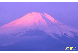 富士を眺める山中湖の旅・本館1階ツインルームプラン。露天風呂も貸切OK●２食付