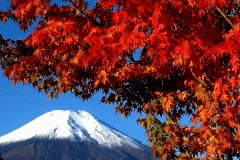 秋が深まる山中湖で寛ぐ★紅葉に染まる富士山麓♪【秋得】ゆっくり大人の秋の旅★２食付