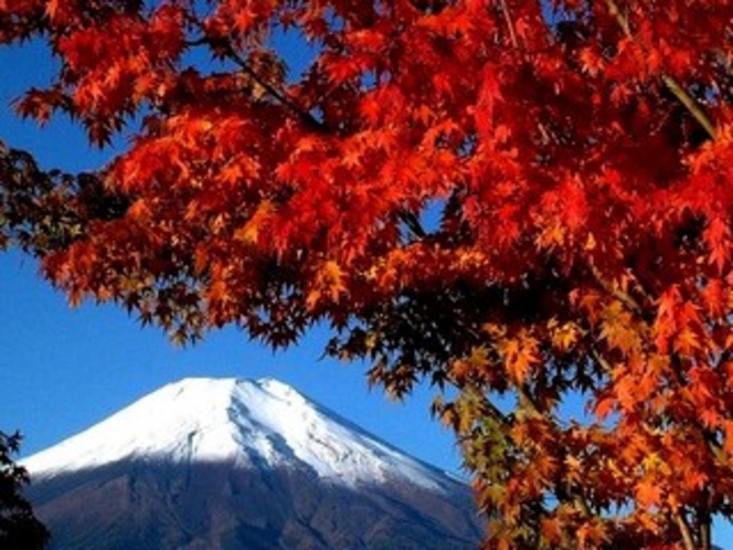 雪化粧の富士山と紅葉