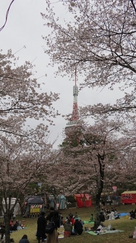 【八幡山公園】