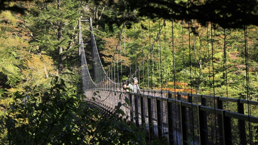 【回顧の橋】観瀑台から水晶のすだれをたらしたような滝を眺めることができます。