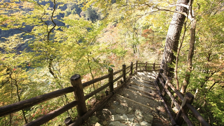 回顧の吊橋を渡り、10メートル程歩くと観瀑台（展望台）があり、そこから滝を眺めることができます。