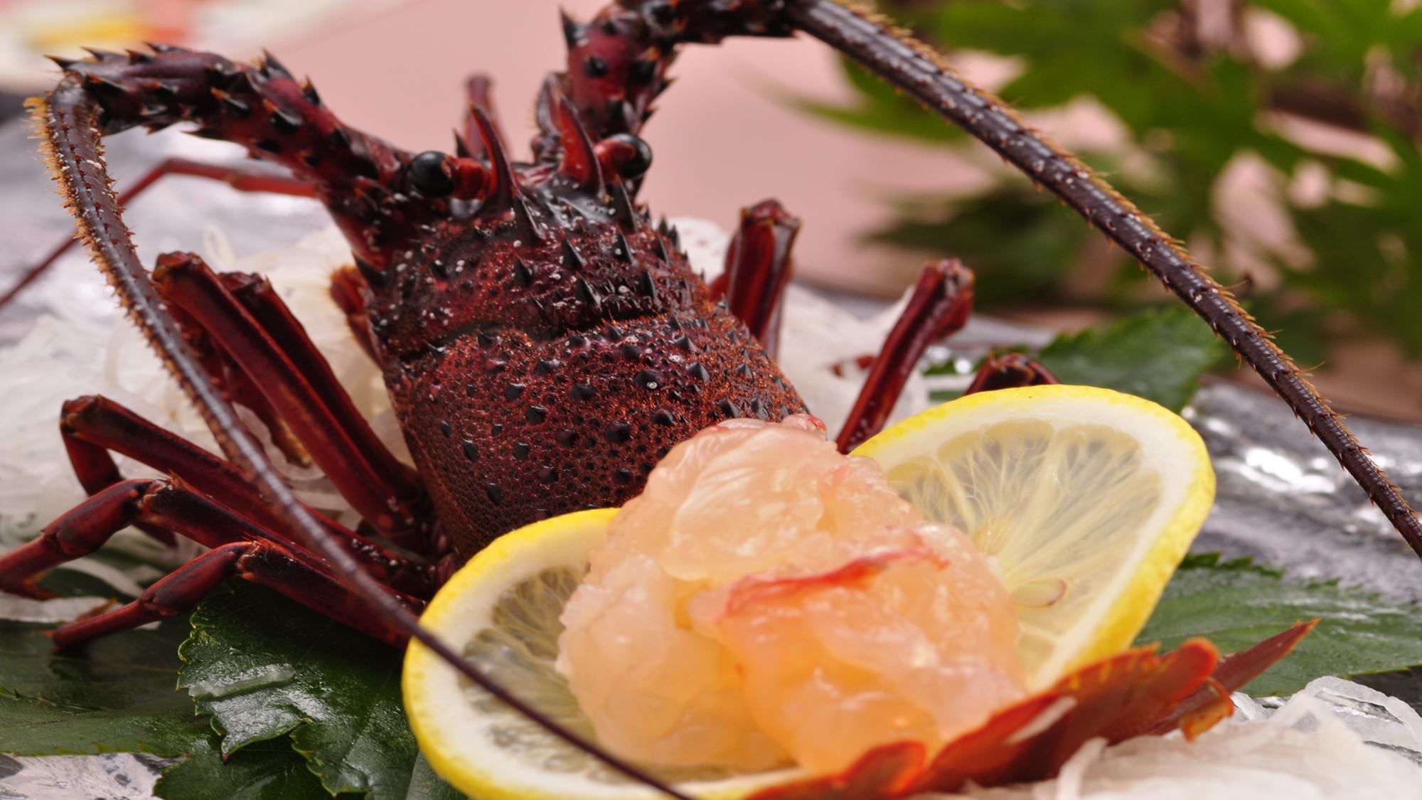 伊勢海老のお造り