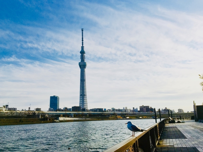 ホテルからも見える東京スカイツリー。隅田川沿いにレンタル自転車でのお出かけがおすすめ！