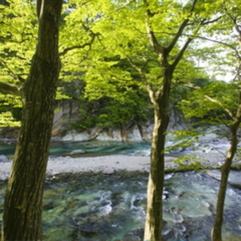 ■周辺風景■