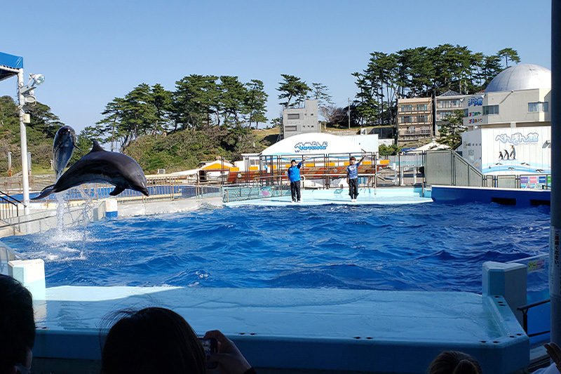 越前松島水族館