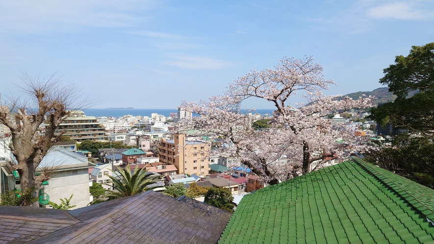 *【本館：高台のレトロ和室（10～12畳+次の間）】≪風呂（温泉）・トイレ付≫客室一例／眺望（桜）