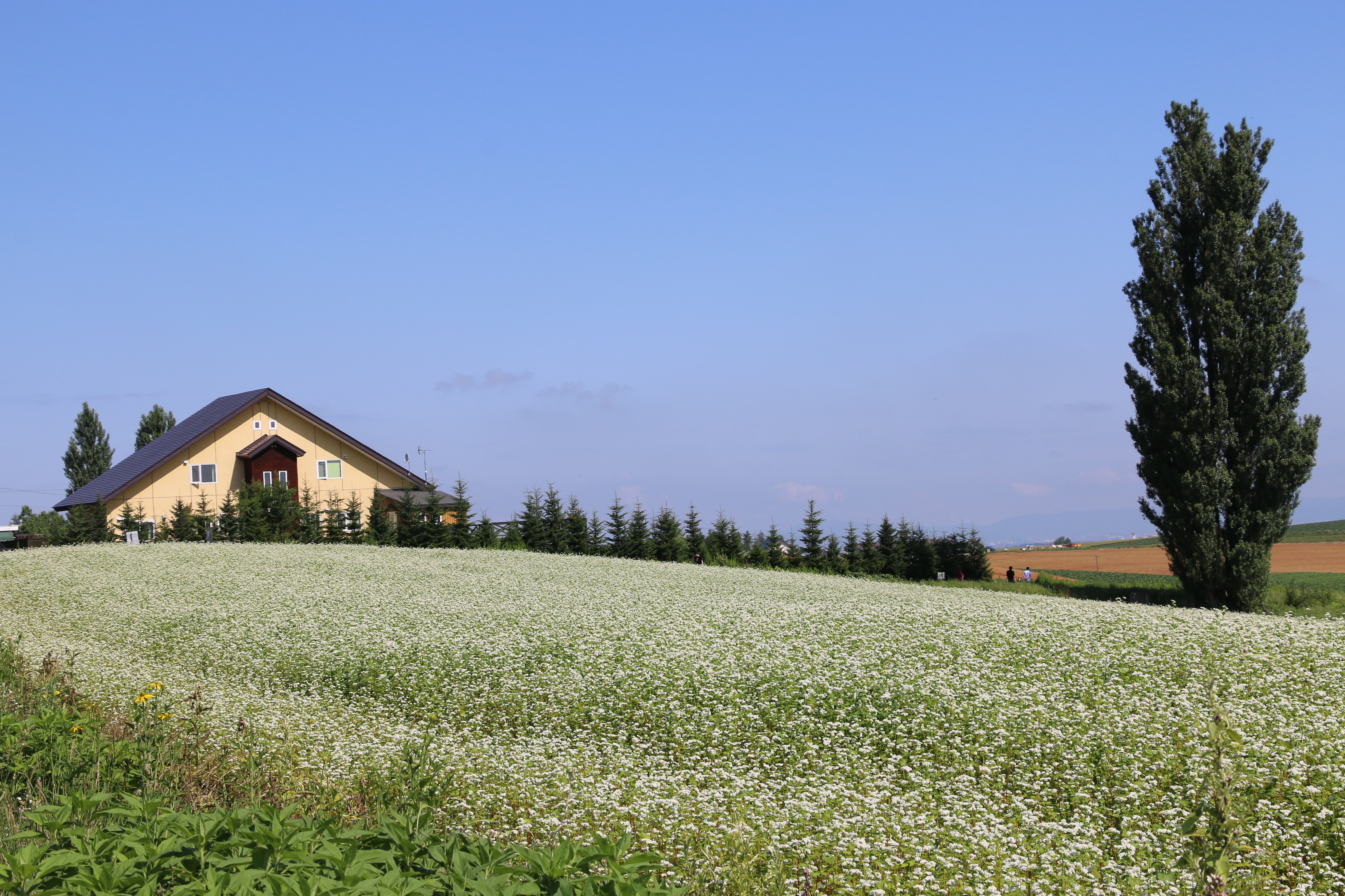 ペンション ケンとメリー 宿泊予約 楽天トラベル ペンション ケンとメリー 宿泊予約 楽天トラベル