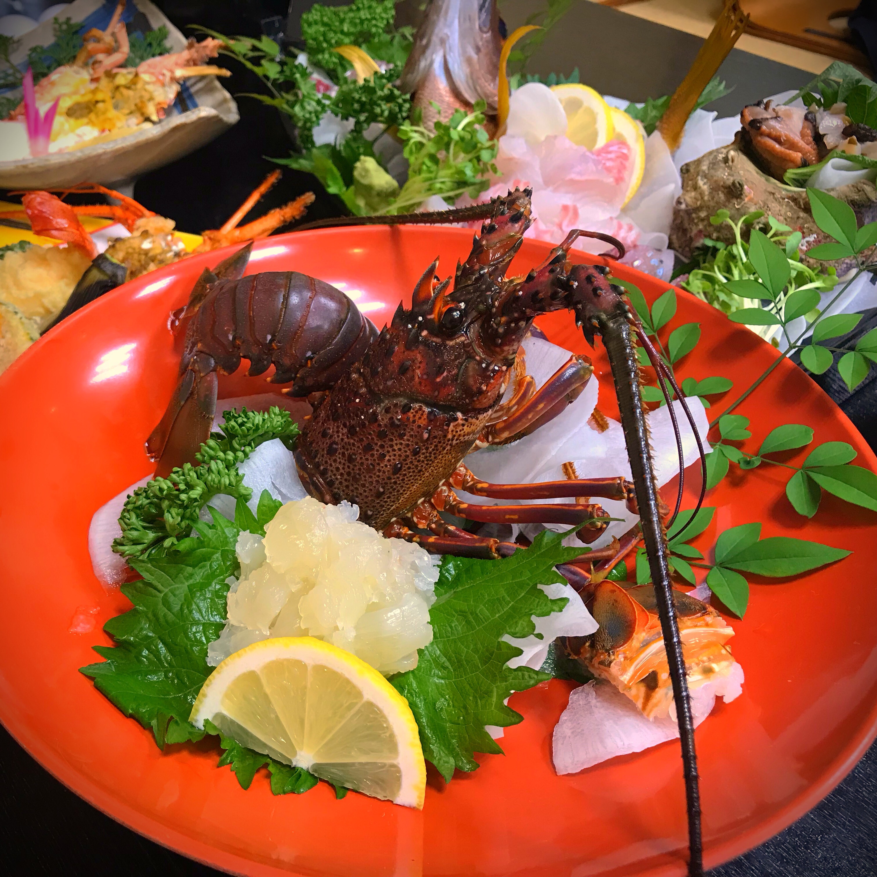 天然の伊勢えびでしか味わえない食感！