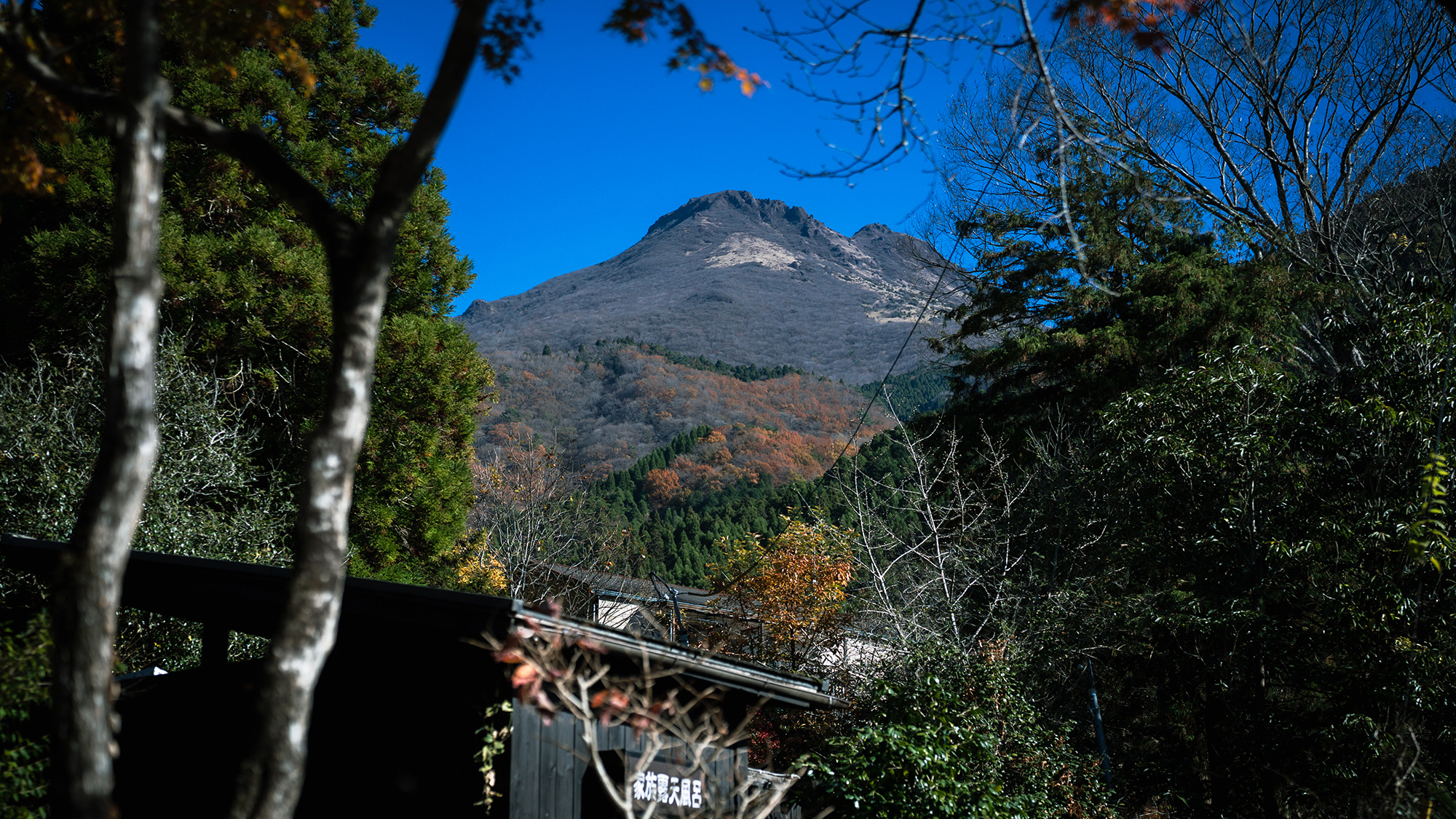 【外観】静寂が深まる庭に、季節の気配がそっと寄り添う。