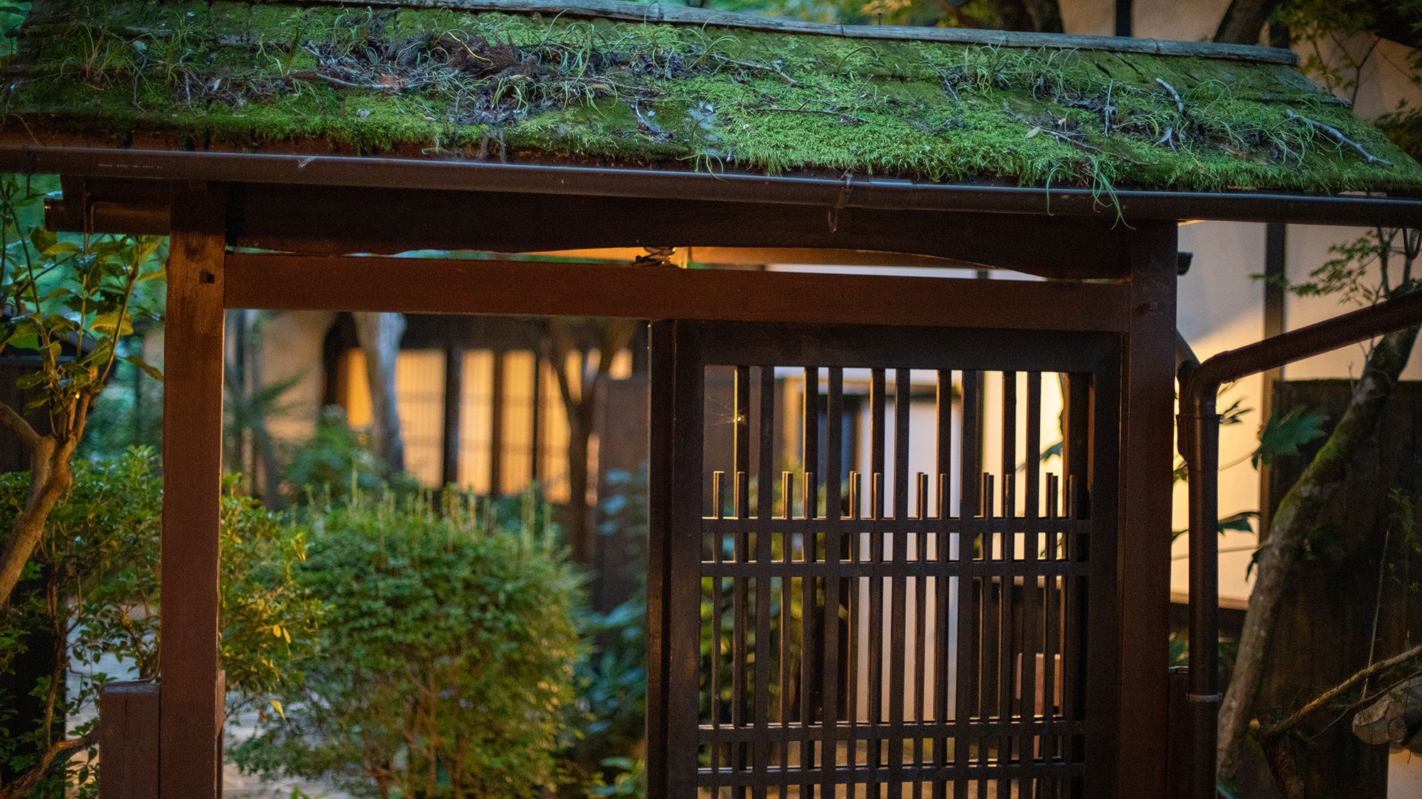 【とんぼ】離れ客室_和室６畳＋６畳　古の風情と自然の調和、苔むす静寂の入り口