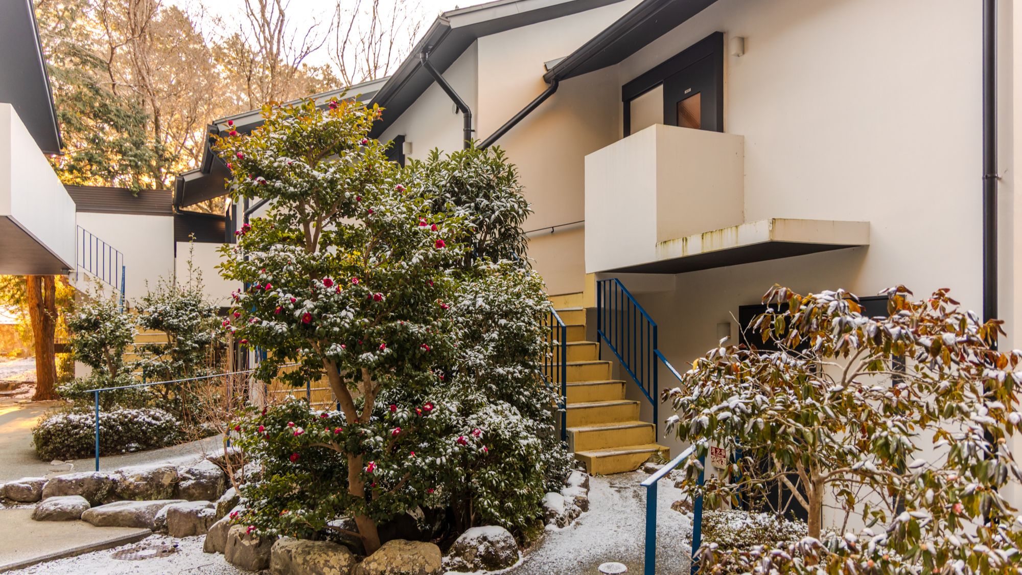 【別邸】B・C棟 外観