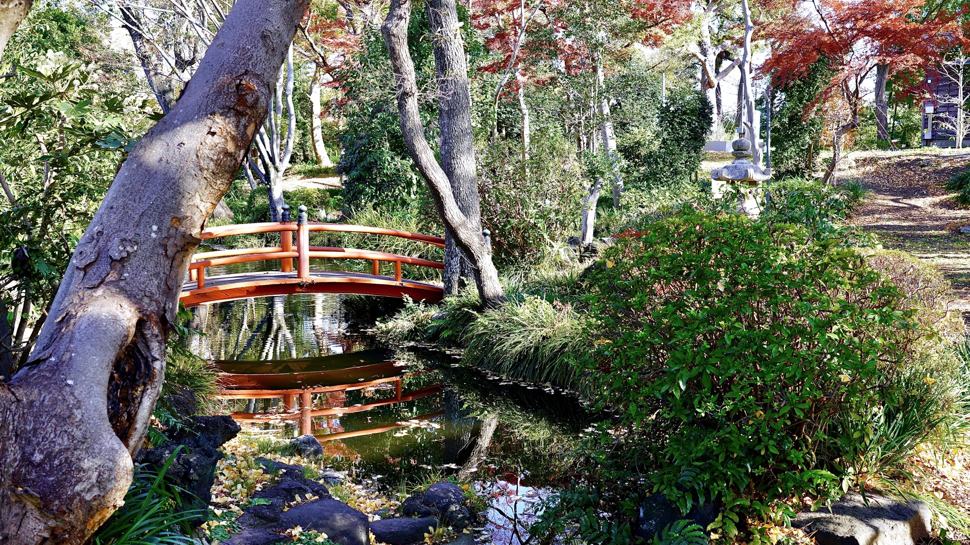 飯香岡八幡宮の中庭