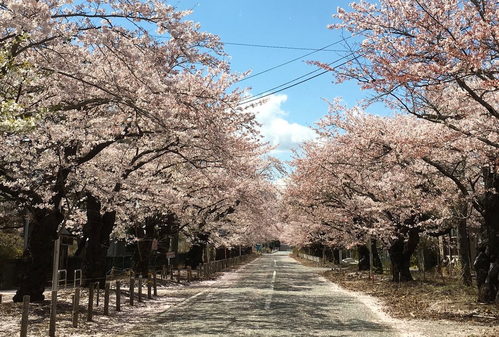 【平日限定】富岡町ステイ ツインルーム　朝食付