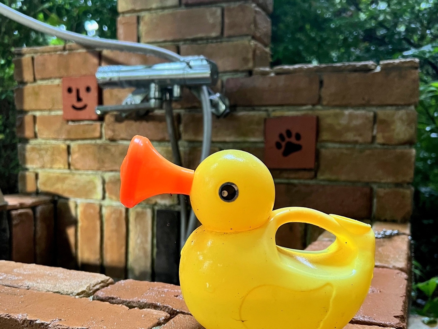 【祝】２０２６年春★進学・就職のご家族をみんなで応援！　おめでとうプラン