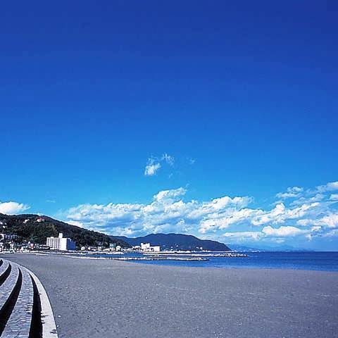 【直前割】７月☆海の日３連休　冷房の効いたプレイルームでわんこと遊び、温泉と卓球を楽しむ休日