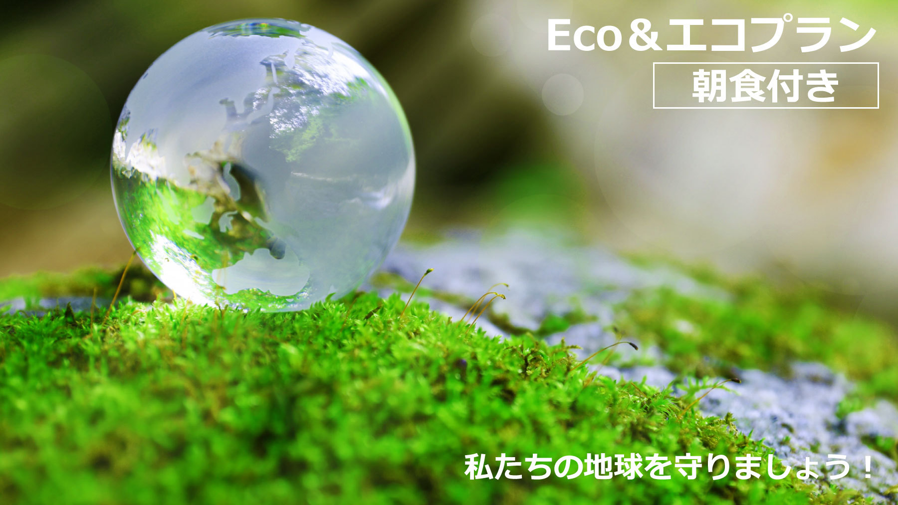 【楽天月末セール】連泊Eco＆エコプラン＜こだわりの手作り朝食付＞清掃をなくしてお得にご宿泊！