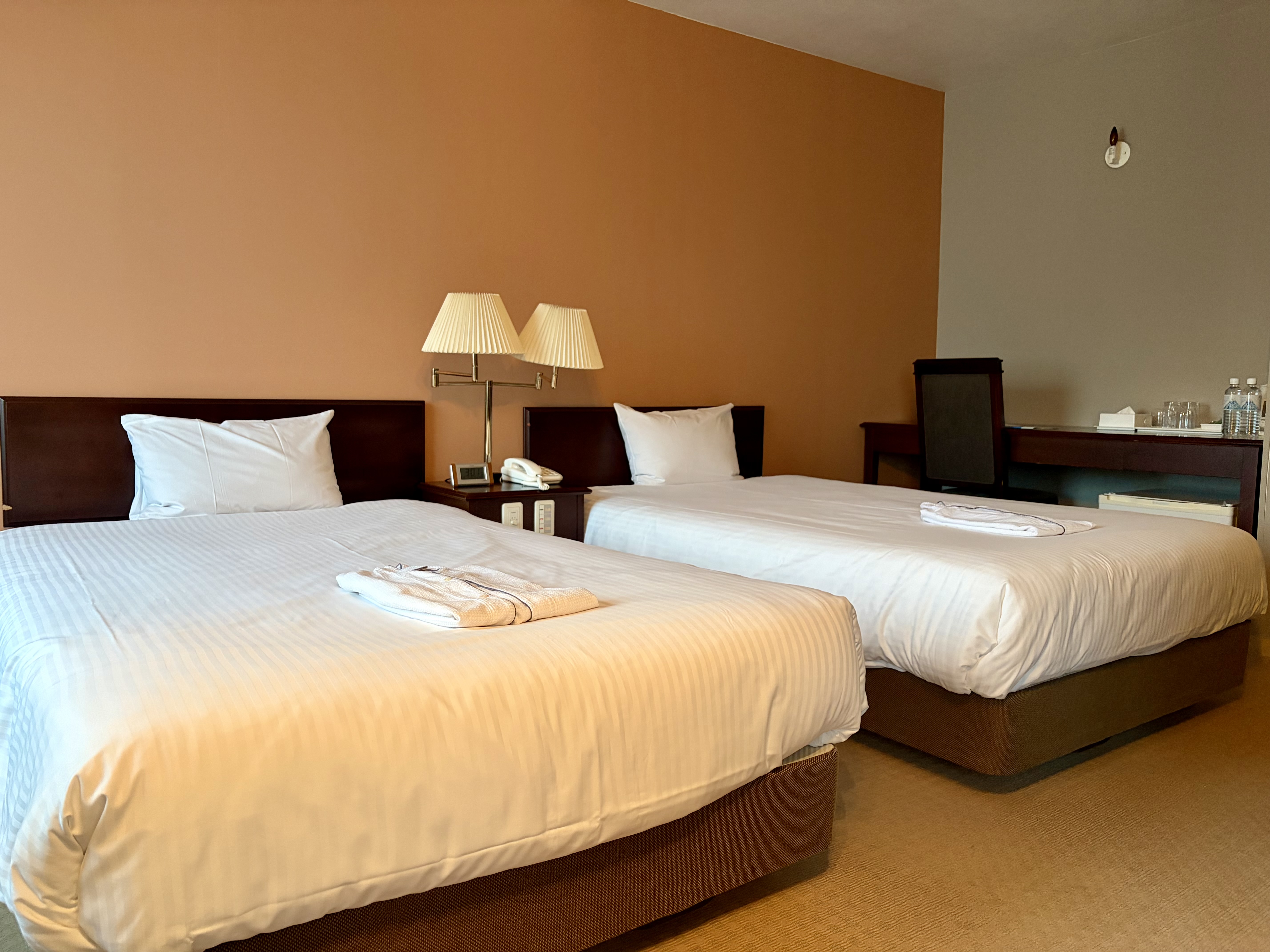 デラックスツイン（イメージ）