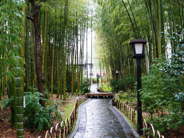 【お一人様４，０００円お得！】観光応援≪チェックイン16時＆チェックアウト10時≫♪修善寺観光を満喫