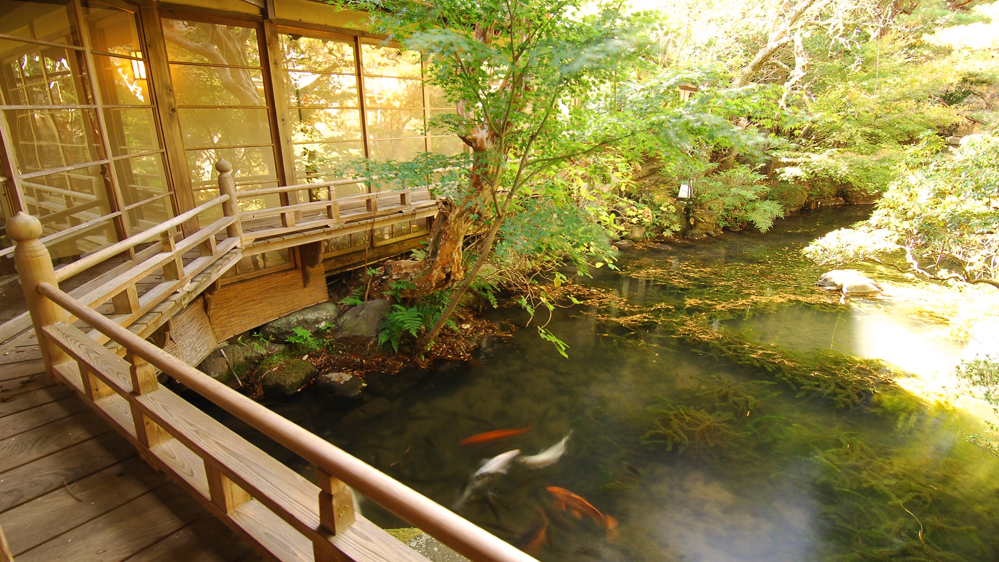 【中庭】広々とした庭園の池には優雅に泳ぐ鯉が…回廊の歴史を眺めてきました