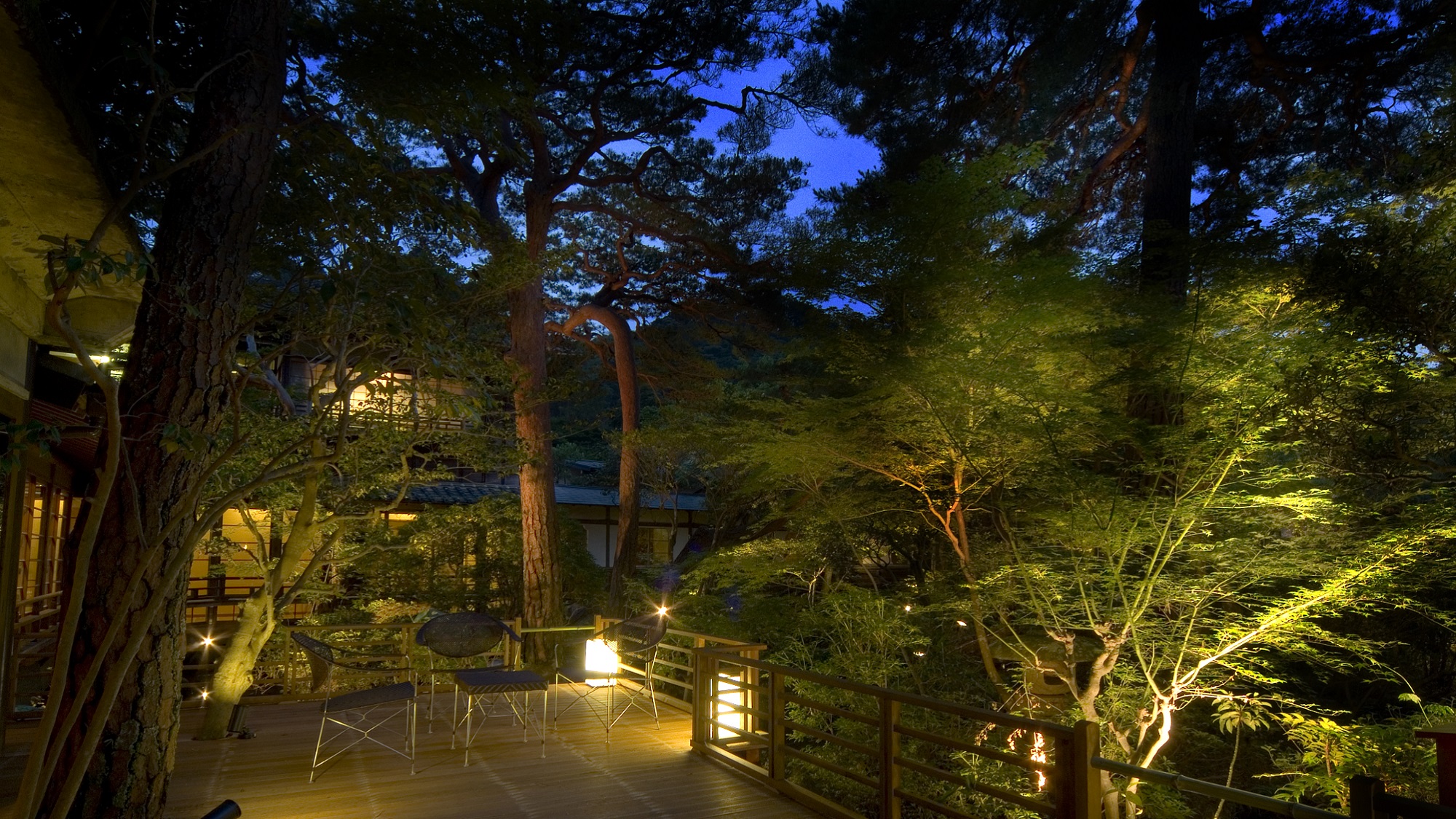 【中庭テラス】昼間とは違う雰囲気を見せる夜のライトアップ、温泉旅館でロマンチックなお時間を