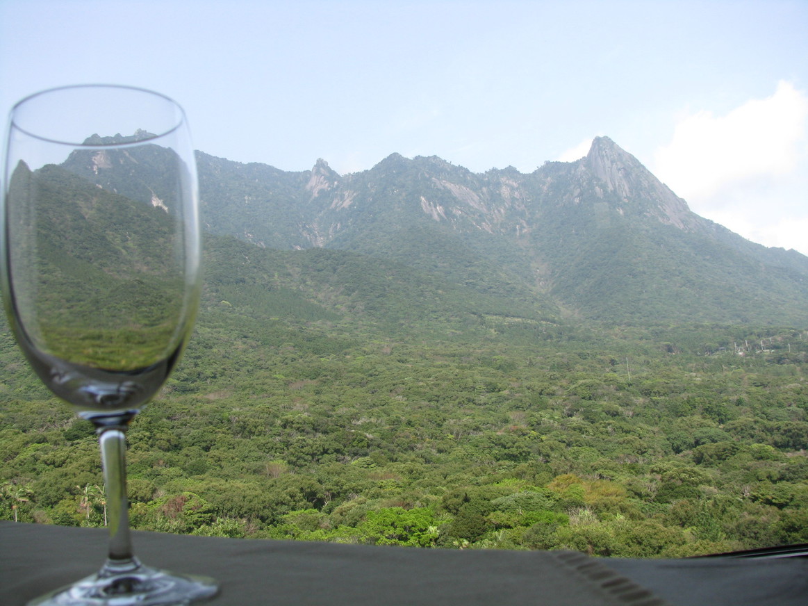 レストラン　景色