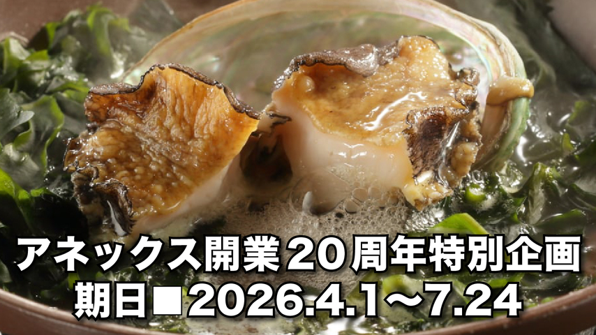 【秋田得旅】【アネックス開業20周年特別プラン】平日限定【夕朝２食付】