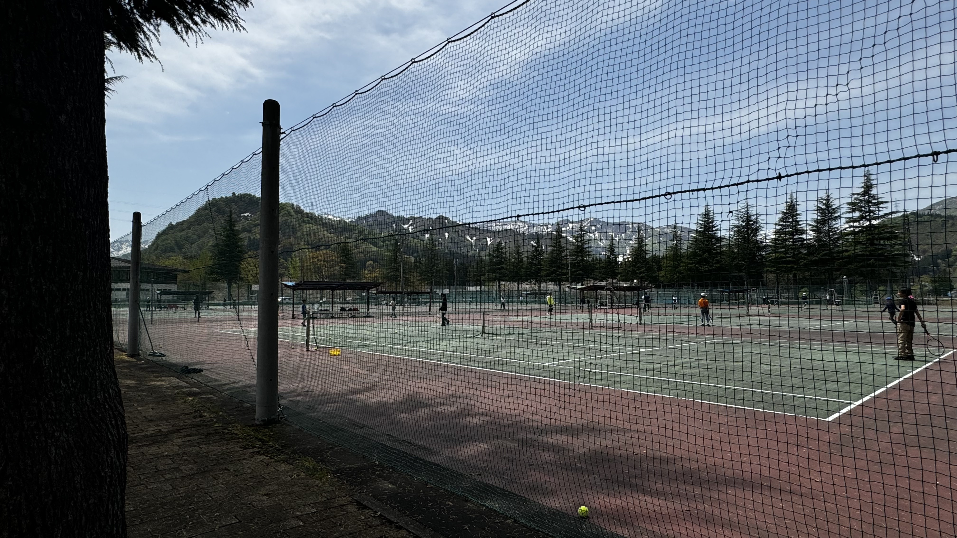 中央公園(テニスコート)