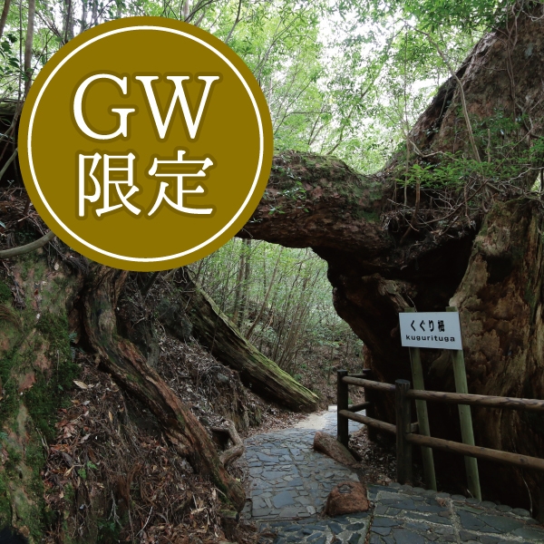 【GW限定×連泊】人気の創作コースでおもてなし☆屋久島満喫プラン♪