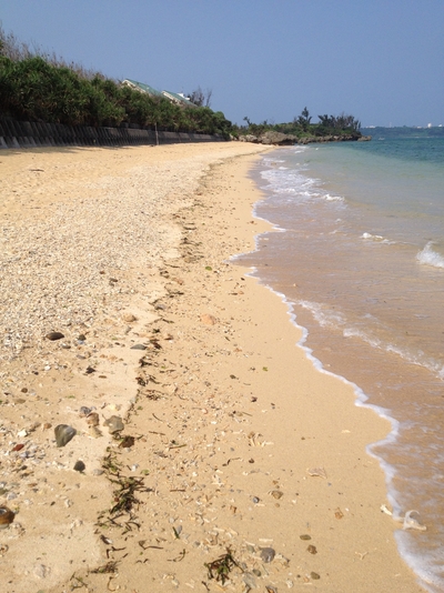 ペンション サンセットビーチハウス sunset beach house 設備 アメニティ 基本情報 楽天トラベル