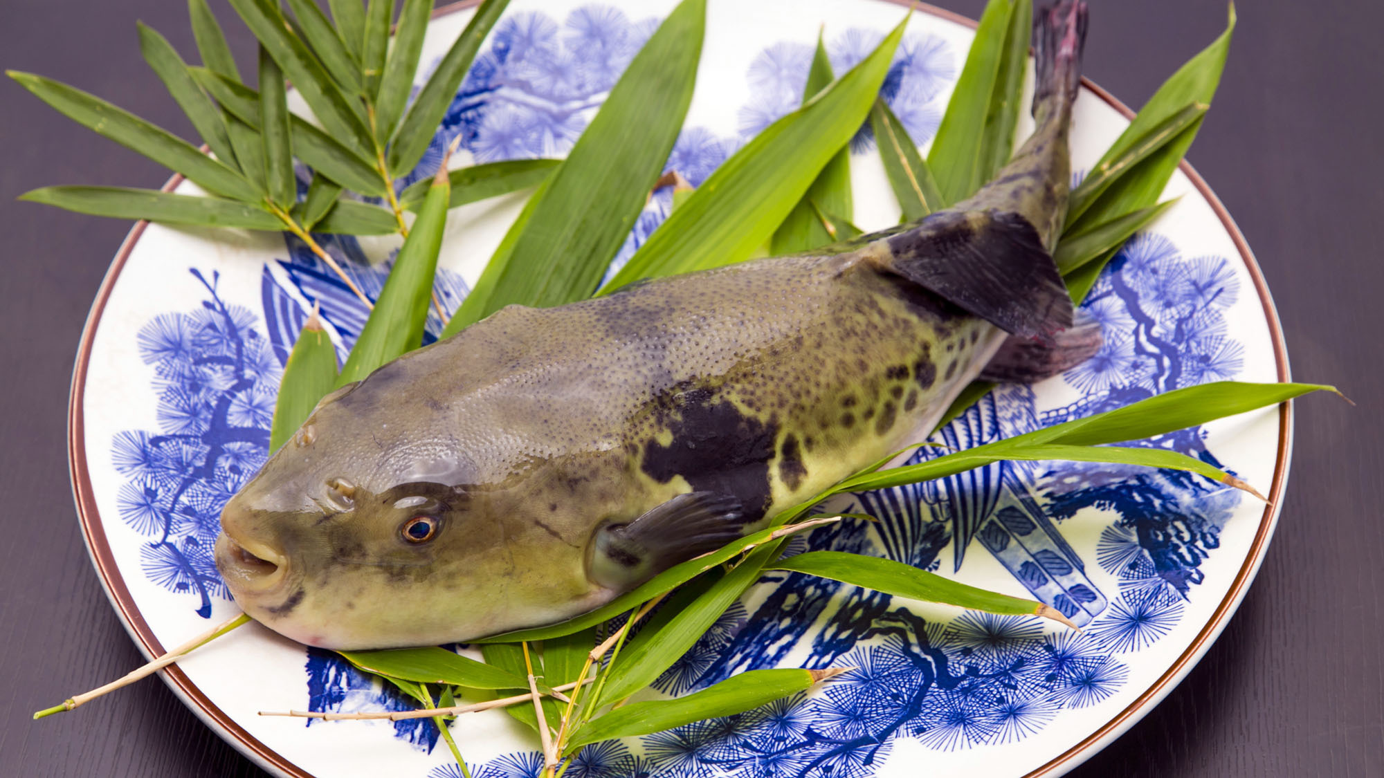 ＼ふぐ＆豊後牛しゃぶしゃぶ＋旬の白子付き／まさに贅沢の極みコース！