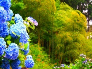 写真2