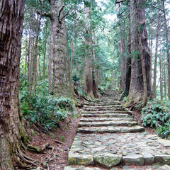 世界遺産熊野古道【大門坂】