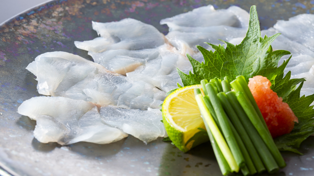 まぐろとくえの旬彩料理　くえの薄造り