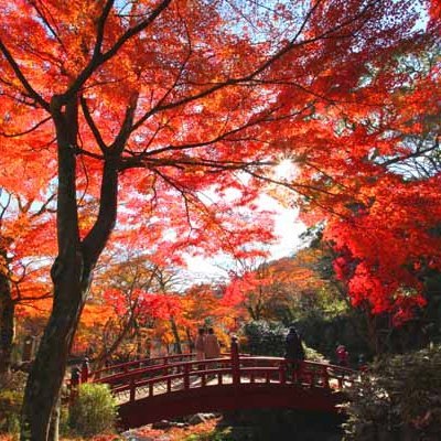 熱海ホテルパイプのけむり - 写真 191