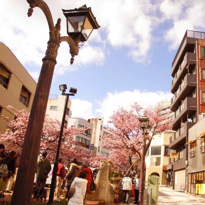 熱海ホテルパイプのけむり - 写真 186