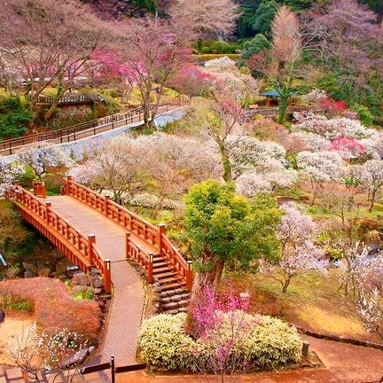 熱海ホテルパイプのけむり - 写真 192