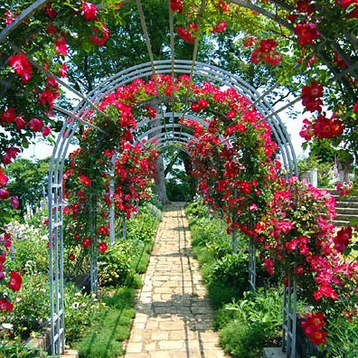 25万坪の大庭園は世界のガーデン巡りと香りの体験が楽しめ、ガーデン散策途中のティータイム から本格ディナーまでお楽しみいただけます。