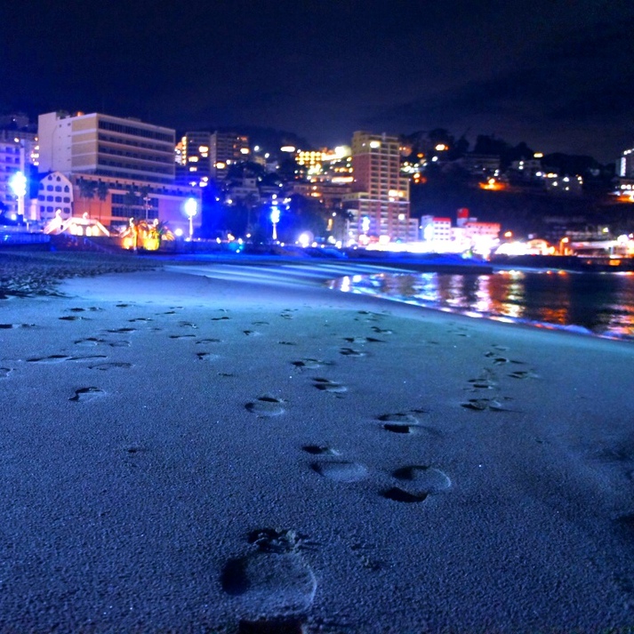 熱海ホテルパイプのけむり - 写真 208