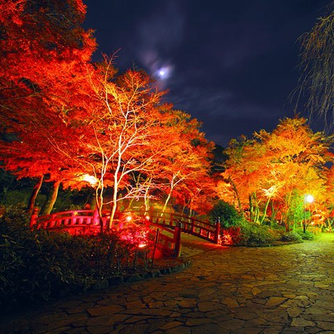 熱海ホテルパイプのけむり - 写真 190