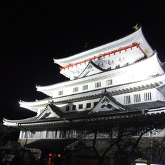 夜の熱海城はなんだか神秘的　（車で約１０分）