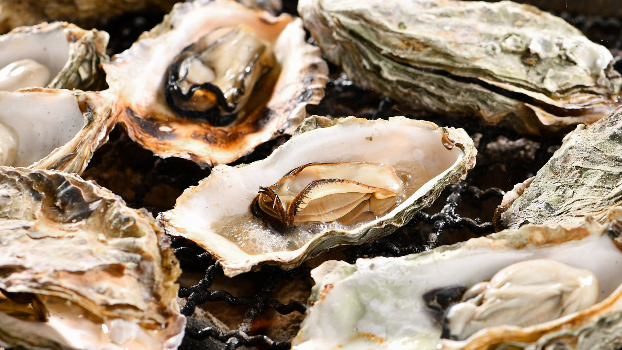 国民宿舎能登小牧台 設備 アメニティ 基本情報 楽天トラベル 国民宿舎能登小牧台 設備 アメニティ 基本情報 楽天トラベル