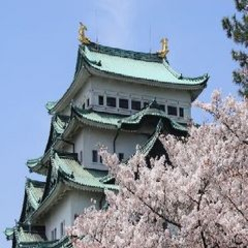 【安城駅前】名古屋城と桜♪